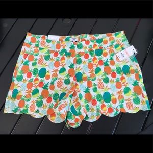Crown & Ivy Women’s Size 10 Shorts